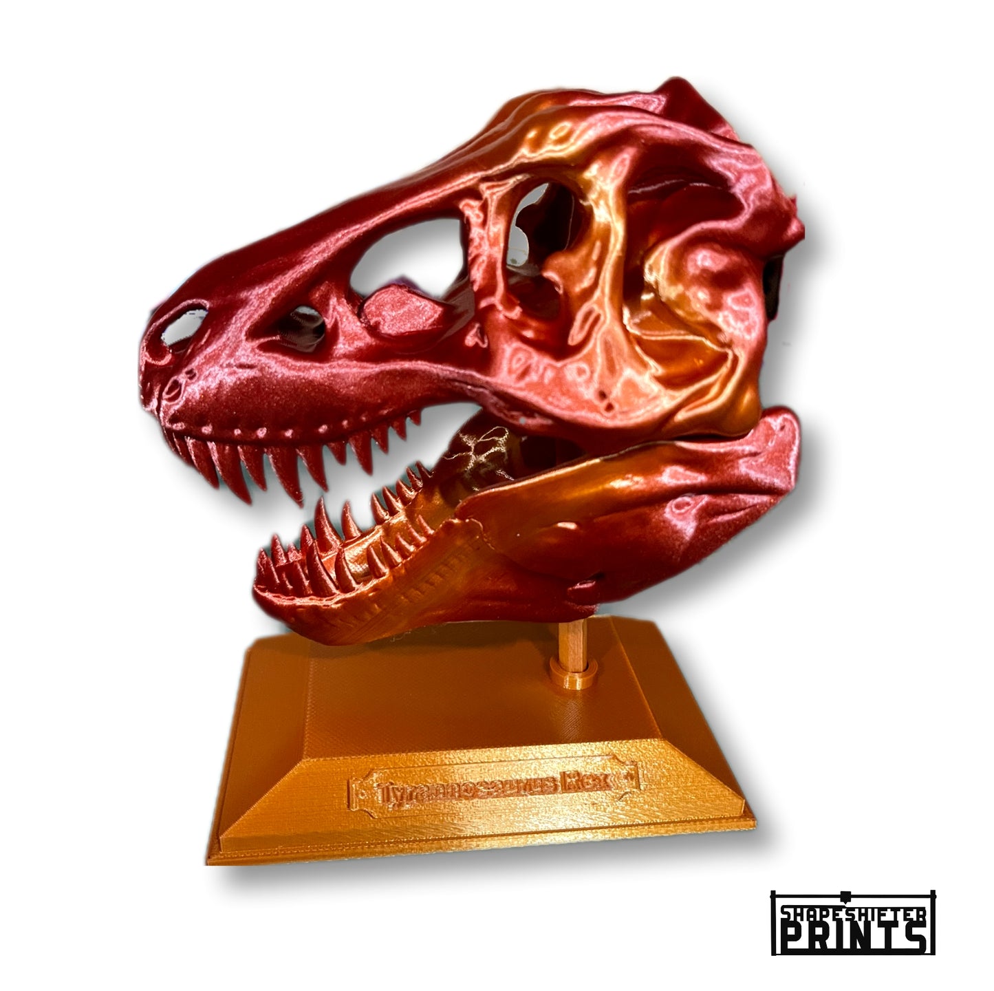 T-Rex Skull